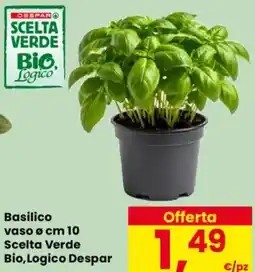 Despar Basilico vaso o cm 10 Scelta Verde Bio, Logico Despar offerta