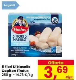 Despar 5 Fiori Di Nasello Capitan Findus offerta