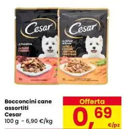 Despar Bocconcini cane assortiti Cesar offerta