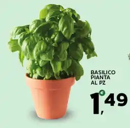Extra Supermercati Basilico pianta offerta