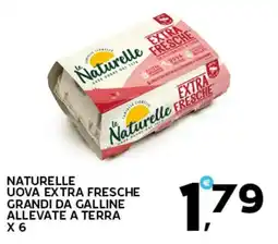 Extra Supermercati Naturelle uova extra fresche grandi da galline allevate a terra x 6 offerta