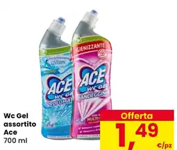 Eurospar Wc Gel assortito Ace offerta