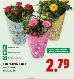 Lidl Rose "Lovely Roses" offerta