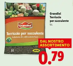 Lidl Grandiol Terriccio per succulente offerta