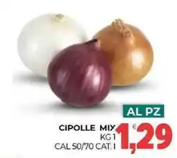 Cipolle miy