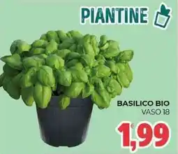 Eté Basilico bio vaso 18 offerta