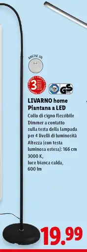 Lidl LIVARNO home Piantana a LED offerta