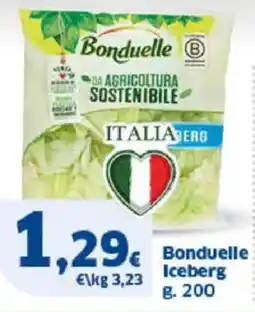 Sigma Bonduelle Iceberg offerta