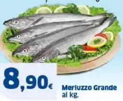 Sigma Merluzzo Grande al kg. offerta