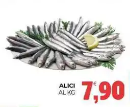 Eté Alici offerta