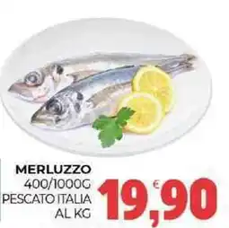 Eté Merluzzo pescato italia offerta