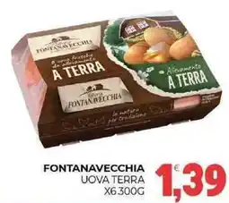 Eté Fontanavecchia uova terra offerta