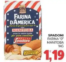 Eté Spadoni farina "0" manitoba offerta