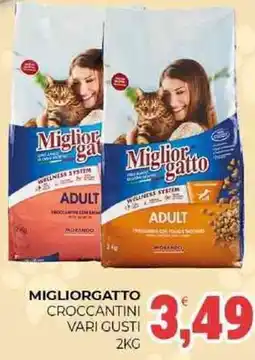 Eté Migliorgatto croccantini vari gusti offerta