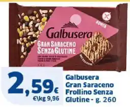 Sigma Galbusera Gran Saraceno Frollino Senza Glutine offerta