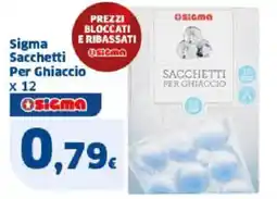 Sigma Sigma sacchetti per ghiaccio x 12 offerta