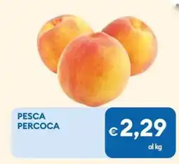 MD Discount PESCA PERCOCA offerta