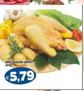 Il Castoro Supermercati Pollo offerta
