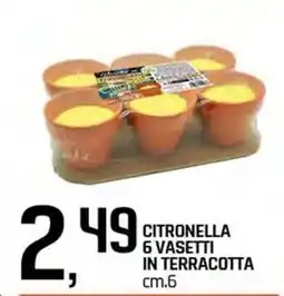 Famila Superstore Citronella 6 vasetti in terracotta offerta