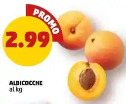 PENNY Albicocche offerta