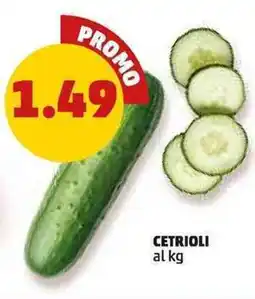 PENNY Cetrioli offerta