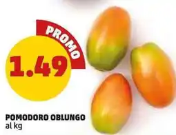 PENNY Pomodoro oblungo offerta