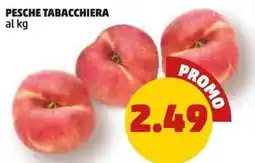 PENNY Pesche tabacchiera offerta
