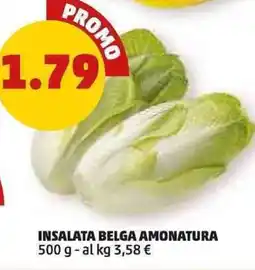 PENNY Insalata belga amonatura offerta