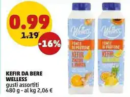 PENNY Kefir da bere WELLESS offerta