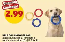 PENNY Hula dog gioco per cani offerta