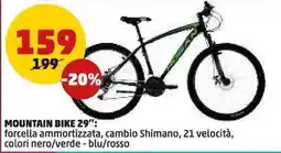 PENNY Mountain bike 29" offerta
