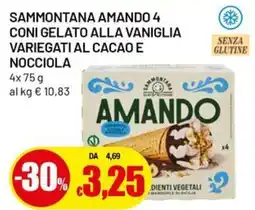 Famila Sammontana amando 4 coni gelato alla vaniglia glutine variegati al cacaoe nocciola offerta