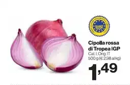 In'S Mercato Cipolla rossa di Tropea IGP offerta