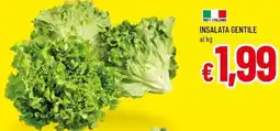 Famila Insalata gentile offerta