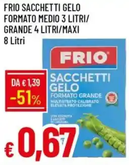 Galassia Frio sacchetti gelo formato medio 3 litri/grande 4 litri/maxi offerta
