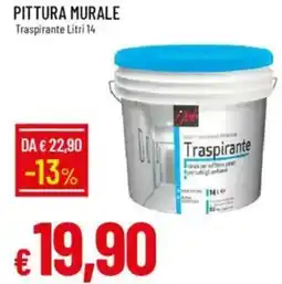 Galassia Pittura murale offerta