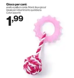 In'S Mercato Gioco per cani offerta