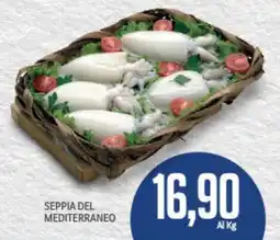 Supermercati Piccolo Seppia del mediterraneo offerta