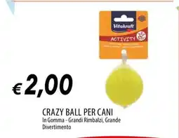 Famila CRAZY BALL PER CANI offerta