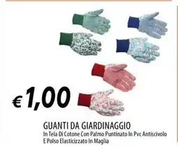 Famila Guanti da giardinaggio offerta