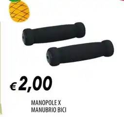 Famila MANOPOLE X MANUBRIO BICI offerta
