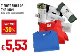 Famila T-SHIRT FRUIT OF THE LOOM offerta