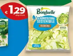 Coop BONDUELLE Iceberg offerta