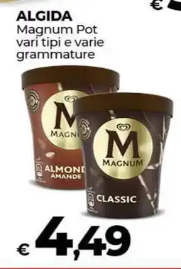 Coop ALGIDA Magnum Pot offerta