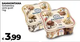 Coop SAMMONTANA Sorbettiera offerta