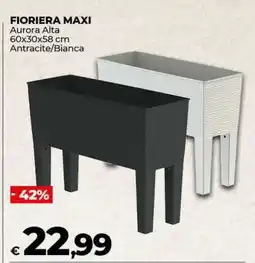 Coop FIORIERA MAXI offerta