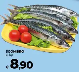 Coop SGOMBRO offerta