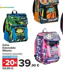 Carrefour Zaino Estensibile Mitama offerta
