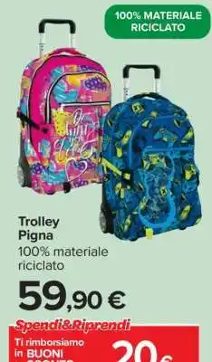 Carrefour Trolley Pigna offerta