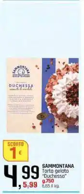 Famila SAMMONTANA Torta gelato 'Duchessa' offerta